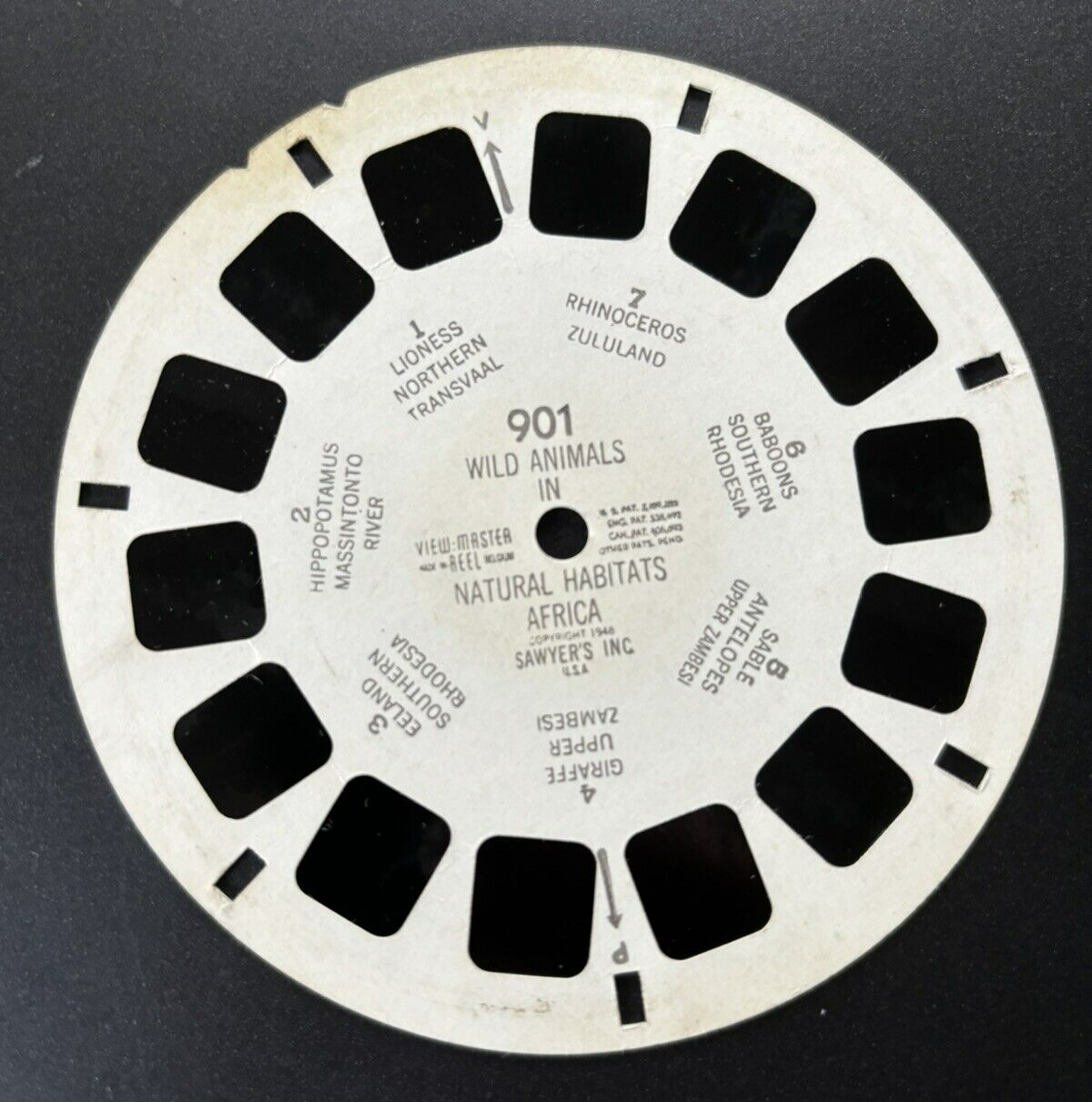 view-master, Tierwelt Afrikas, viewmaster, guter Zustand