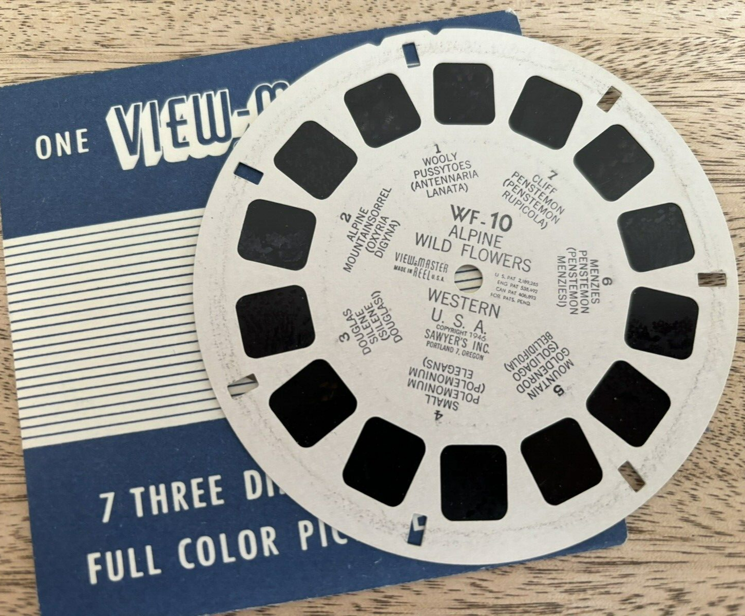 view-master, Alpine Wild Flowers, viewmaster, guter Zustand